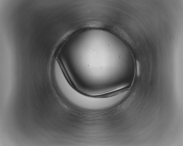 X0000113320252200909281213