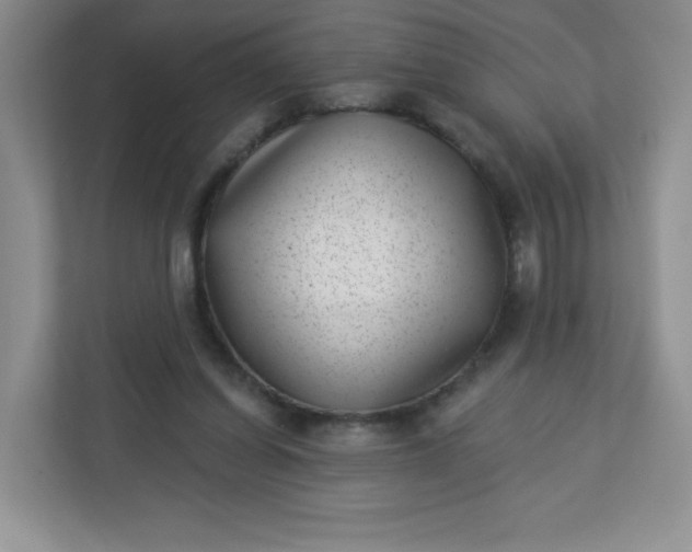 X0000113320254200909281213