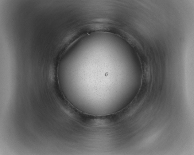 X0000113320255200909281213