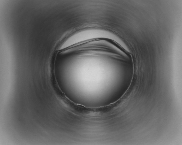 X0000113320256200909281213