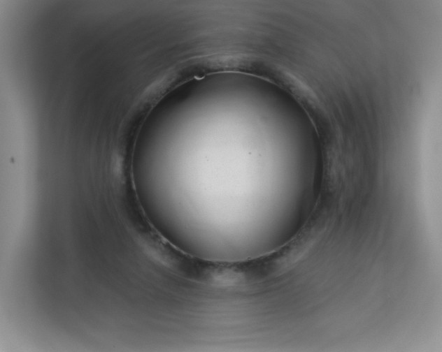 X0000113320258200909281213