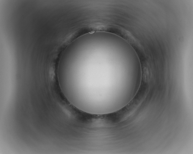 X0000113320259200909281213