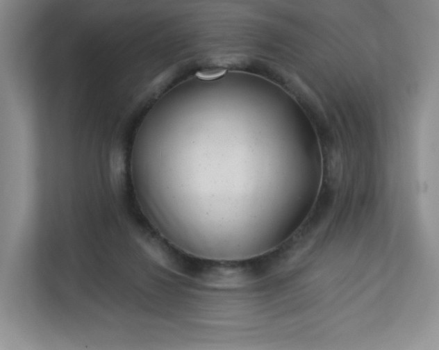 X0000113320260200909281213