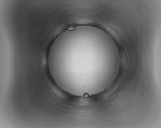 X0000113320261200909281213