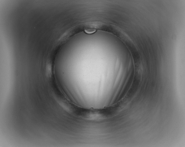 X0000113320262200909281213