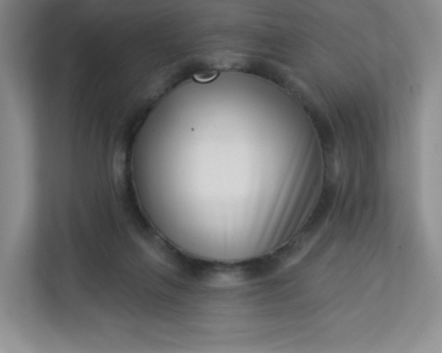 X0000113320263200909281213