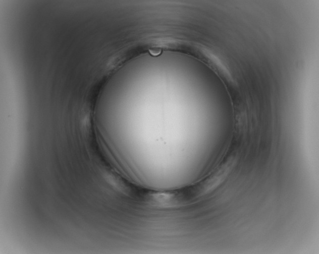 X0000113320265200909281213