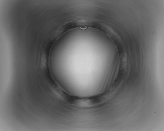 X0000113320266200909281213