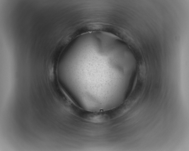 X0000113320267200909281213