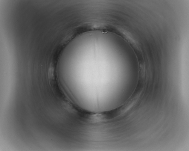 X0000113320269200909281213