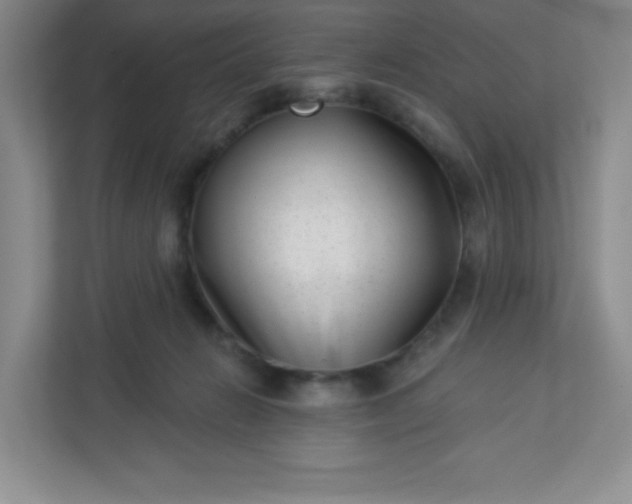 X0000113320270200909281213