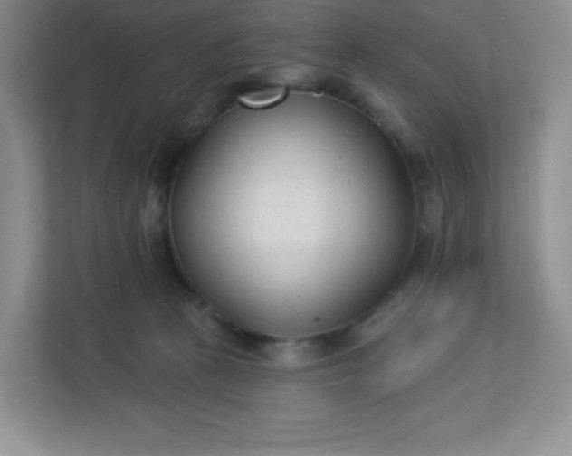 X0000113320273200909281213