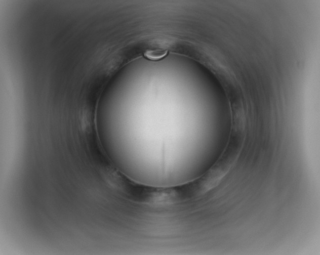 X0000113320274200909281213