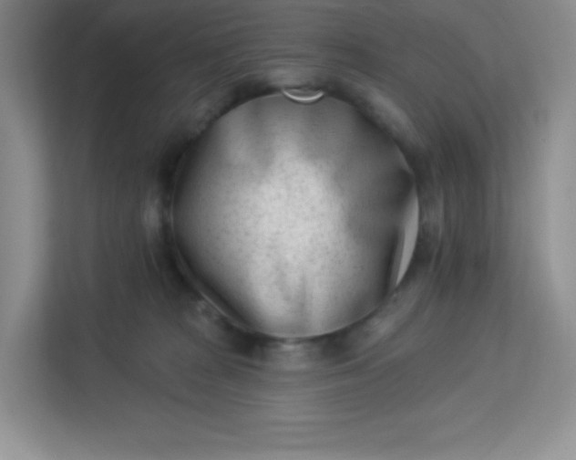 X0000113320277200909281213