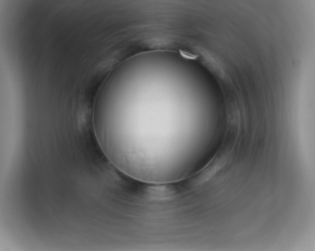 X0000113320281200909281213