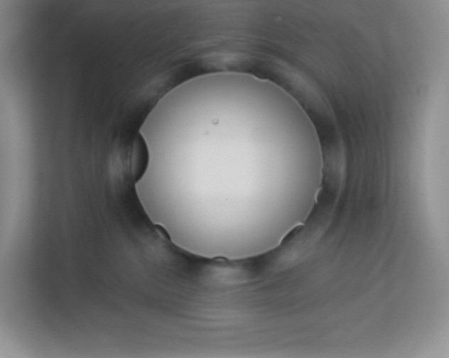 X0000113320284200909281214