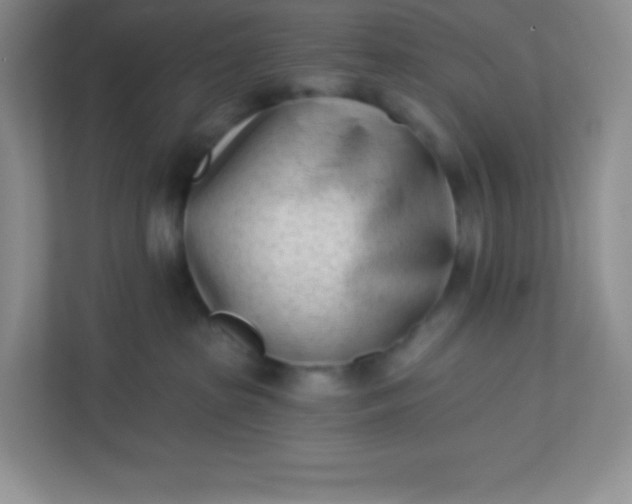 X0000113320285200909281214