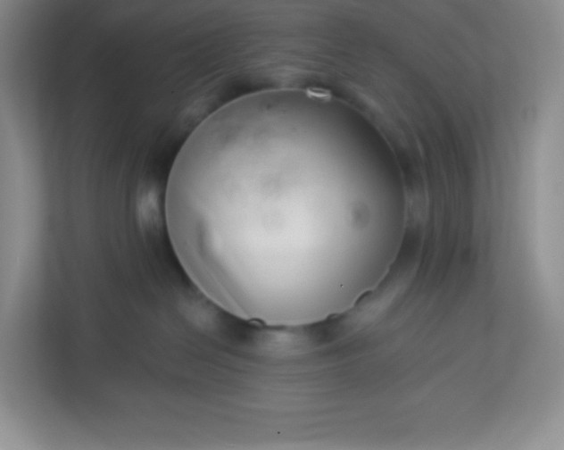 X0000113320286200909281214