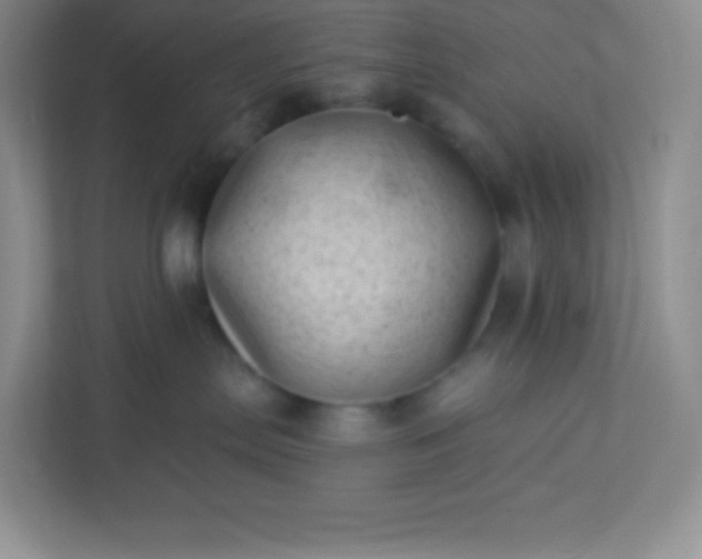 X0000113320287200909281214