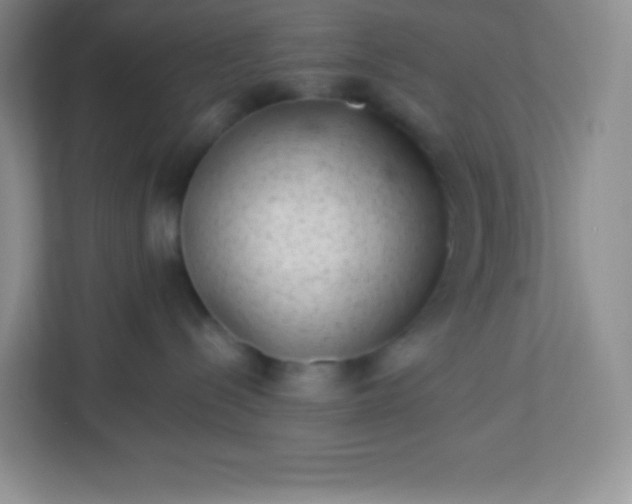 X0000113320288200909281214