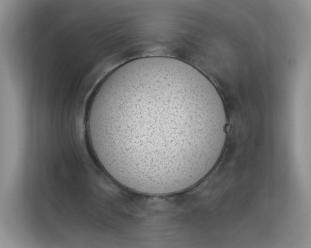 X0000113320290200909281213