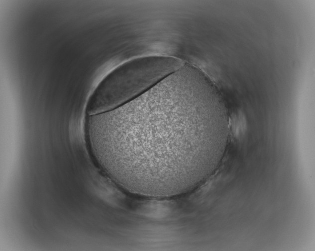 X0000113320292200909281213