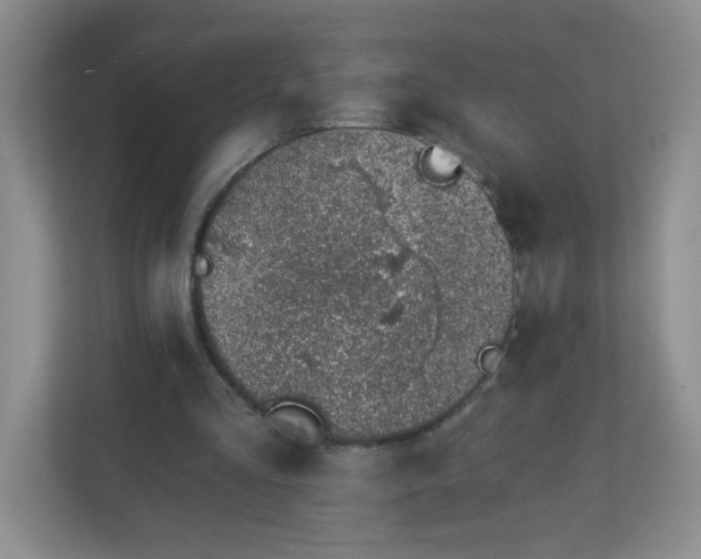 X0000113320293200909281213