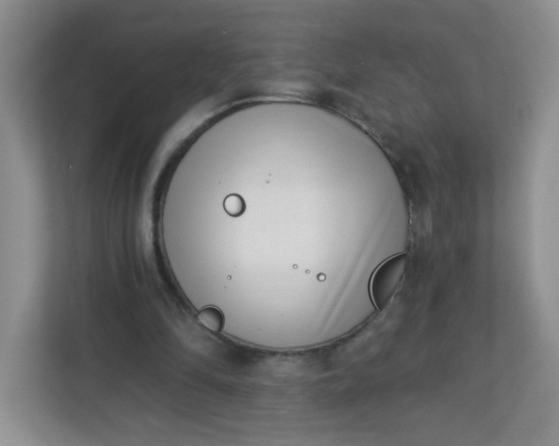 X0000113320294200909281213