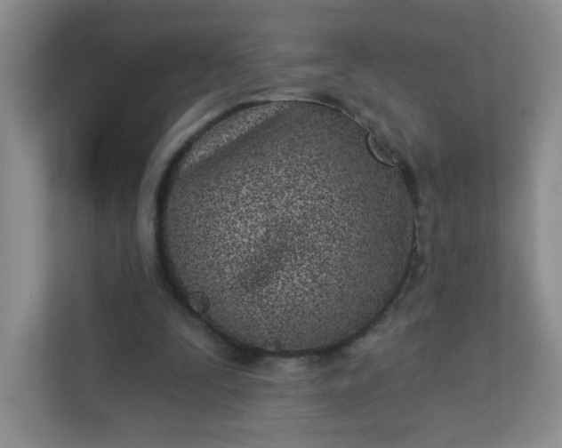 X0000113320295200909281213