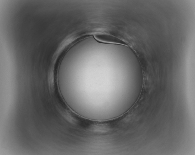 X0000113320296200909281213