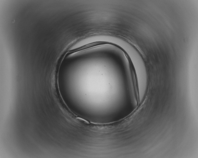 X0000113320297200909281213