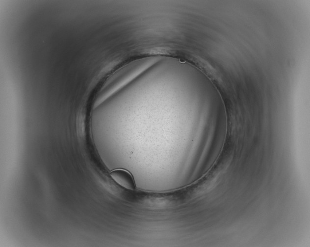 X0000113320299200909281213