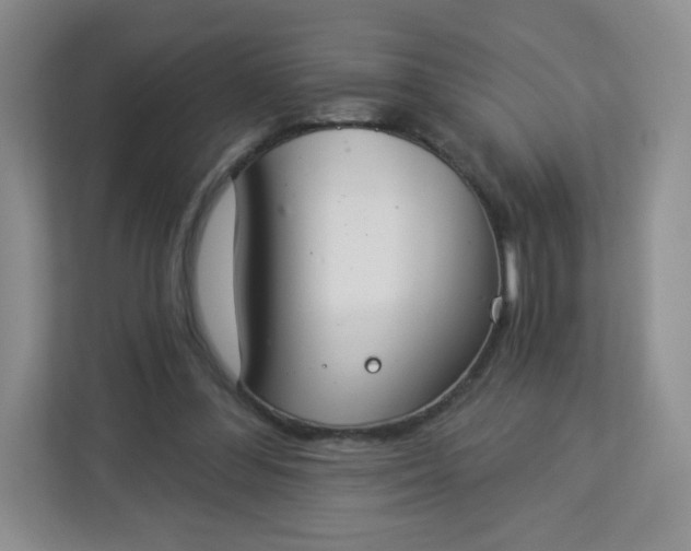 X0000113320300200909281213