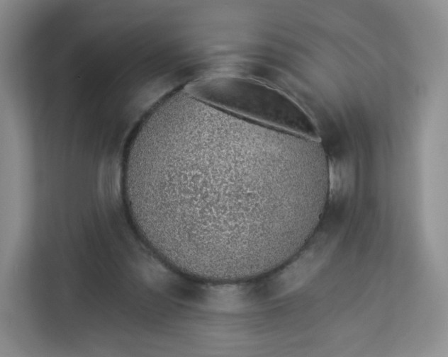 X0000113320301200909281213