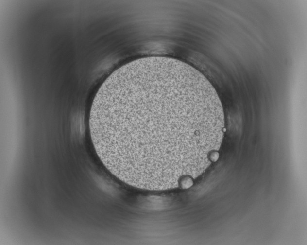 X0000113320302200909281213