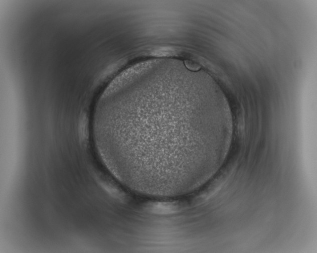 X0000113320303200909281213