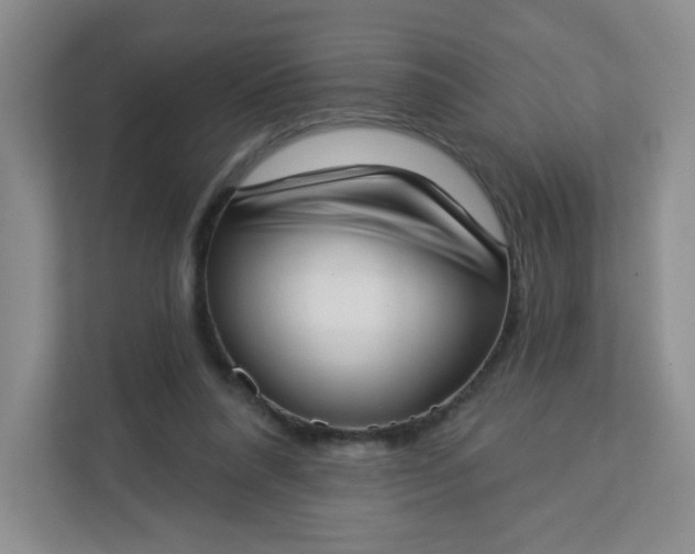 X0000113320304200909281213