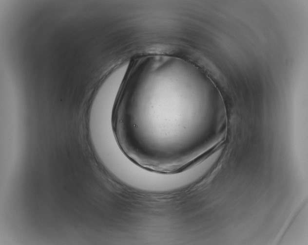 X0000113320305200909281213