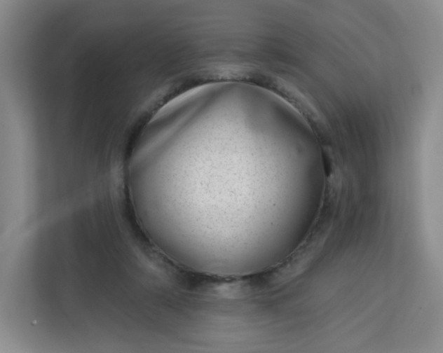 X0000113320306200909281213