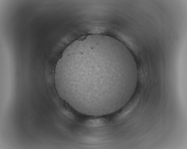 X0000113320307200909281213