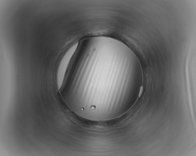 X0000113320308200909281213