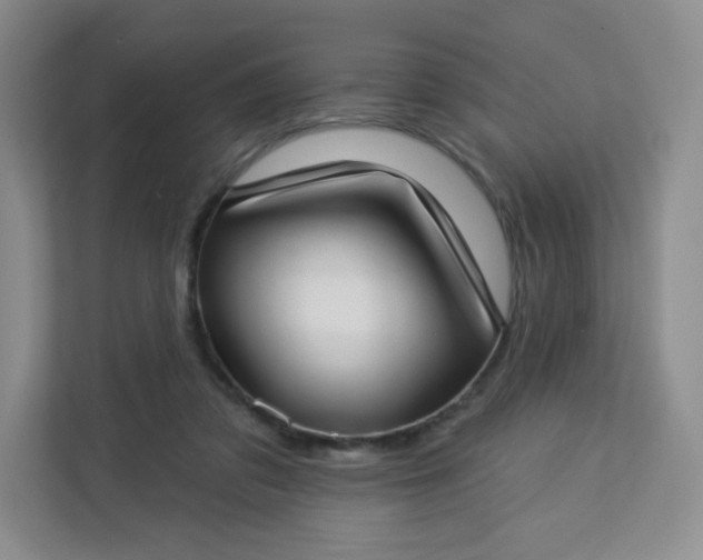 X0000113320309200909281213