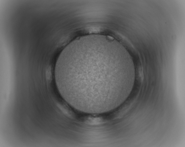 X0000113320311200909281213