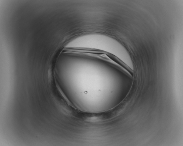 X0000113320312200909281213