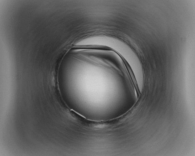 X0000113320313200909281213