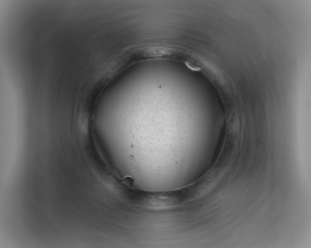 X0000113320315200909281213