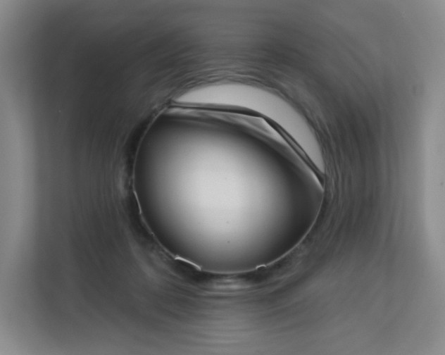 X0000113320316200909281213