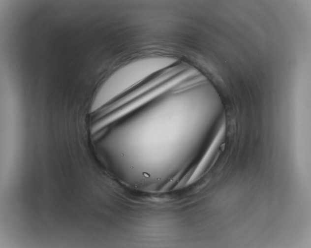 X0000113320317200909281213