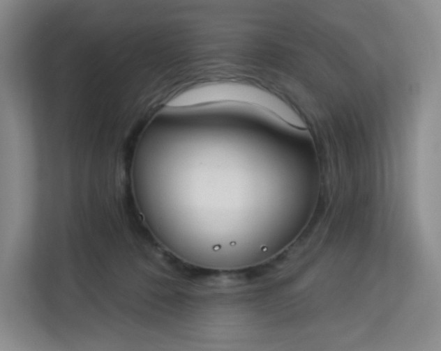 X0000113320320200909281213