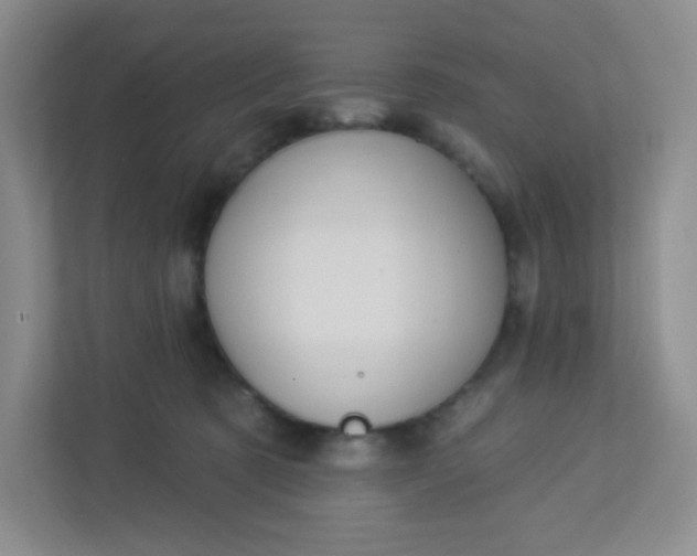 X0000113320321200909281213